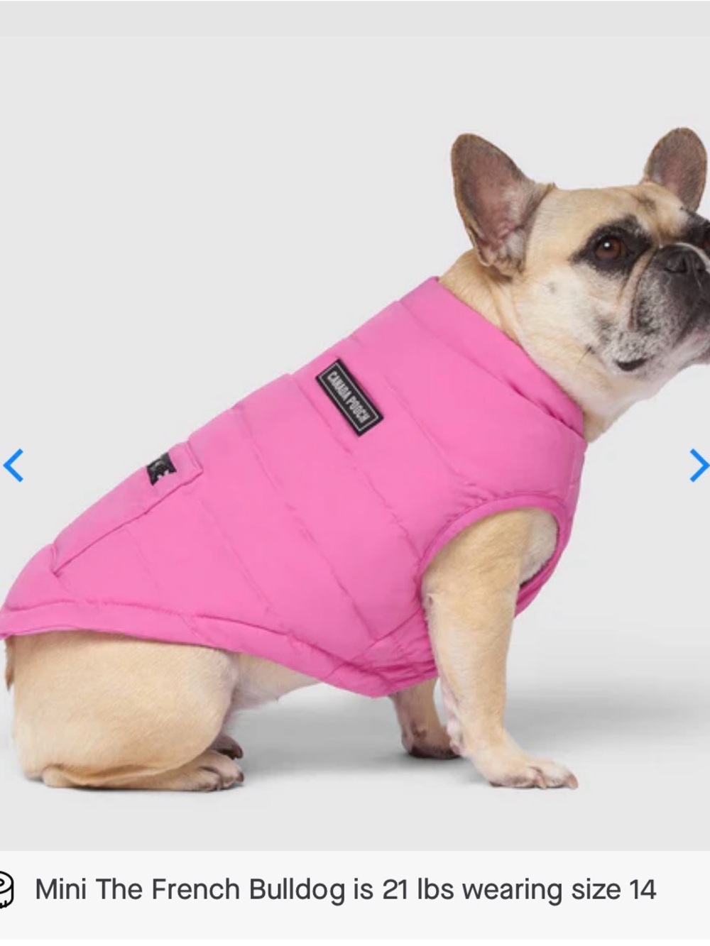 Canada Pooch Pink Quilted Dog Vest Jacket